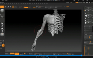 太极人体造型核心培训班第二期-35周主课都有,没有dlc视频,课程有加速,建议0.75倍速播放
