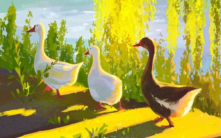 色彩班长第11期2022年