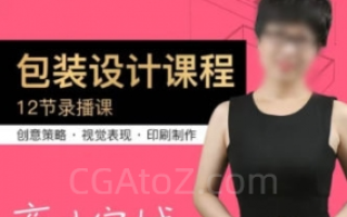 贾丽芳包装设计第8期2022年 – 抖音的课没有素材,12节正课都有