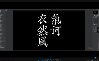 付顽童商业字体设计第16期2022年12月结课