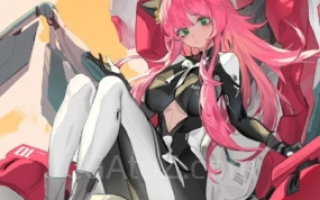 dm袋喵阶段1透视课2022年 – 没有答疑视频,主课一共就5节,其他是作业讲解,毛厂基础课阶段一