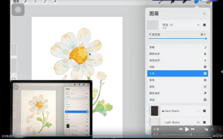 昭春落日iPad水彩花卉课2023年