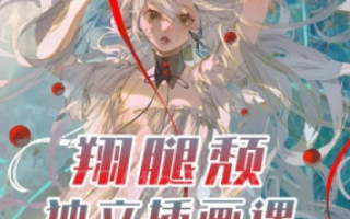 翔腿颓独立插画课第3期2023