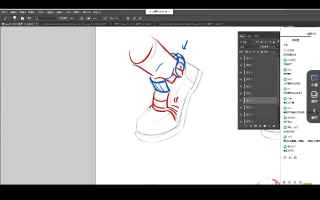 春哥人体结构基础课第13期