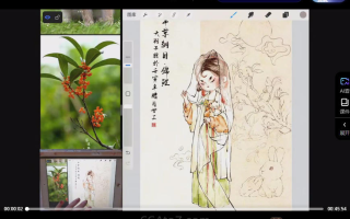 蓉儿x大羽子国风水墨Q版人物团练本草纲目2023年