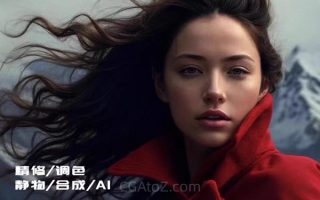 刘杨灵动后期修图全能班2024年(高清画质带素材)