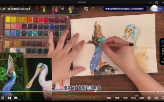 九两跨年人物鸟类动物园全四套【画质不错只有视频】