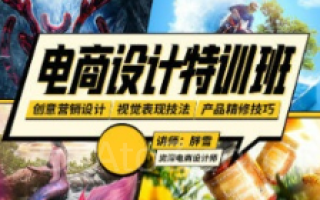 胖雪电商设计速成班【画质不错有大部分素材】