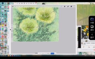 苜芝procreate仿岩彩花卉专题2024【有笔刷】【说明】部分视频画质差 部分视频画质好