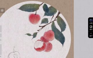 钟小朋友水墨花鸟团练课2024【画质高清有课件图片】