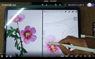 池汐ipad水彩花卉•花时•十二月历花【画质还行只有视频】