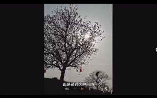 摄影眼养成36技+影像创作社区王建章的摄影课【画质不错只有视频】