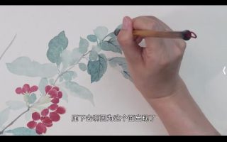 国画马啸羽骨法用笔之瓯香馆写生册入门精讲2024【画质不错有课件】