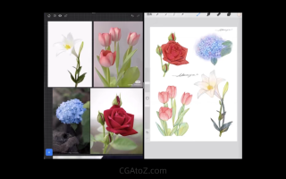 阿花婚礼【画质不错有课件】