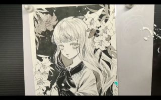 红鱿鱼精致黑白手绘插画班2025【画质高清只有视频】