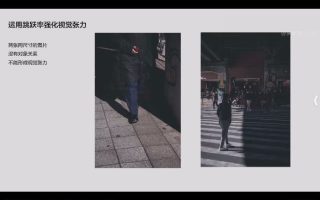 罗耀2025系列课版式图片编排技巧【画质高清只有视频】