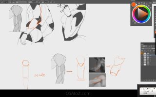 大木人体结构第13期绘画基础课【画质高清有课件】