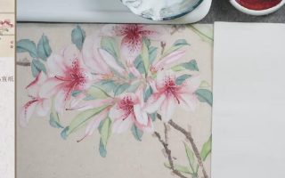 太子洗马入门到高阶豫山国画综合课没骨+白描62节【画质高清有素材】