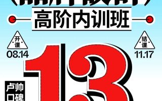 卢帅品牌设计高阶内训班第13期2024年11月结课【画质超清有大部分素材】